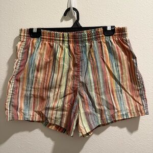 Striped Multicolor Swim Trunks